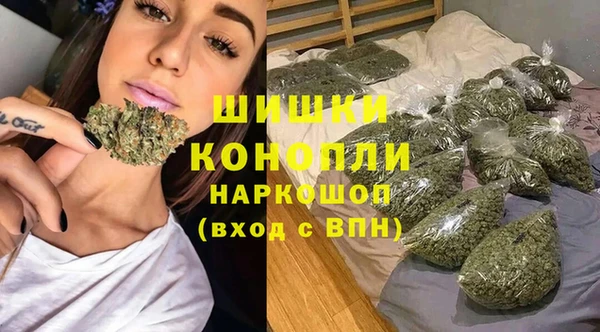 кокс Арсеньев