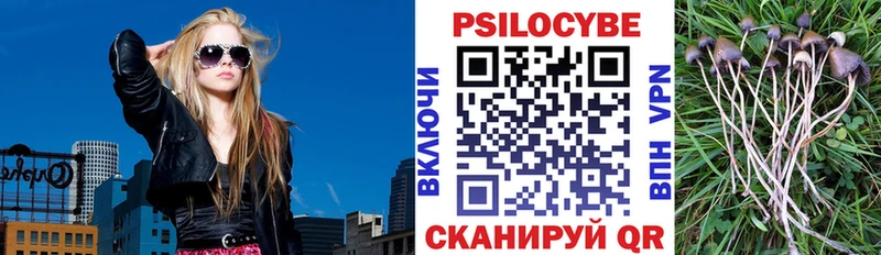 Псилоцибиновые грибы MAGIC MUSHROOMS  даркнет как зайти  Хадыженск 