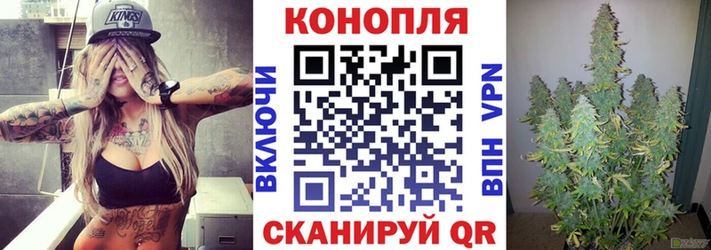 где купить наркоту  Хадыженск  KRAKEN tor  Марихуана план 
